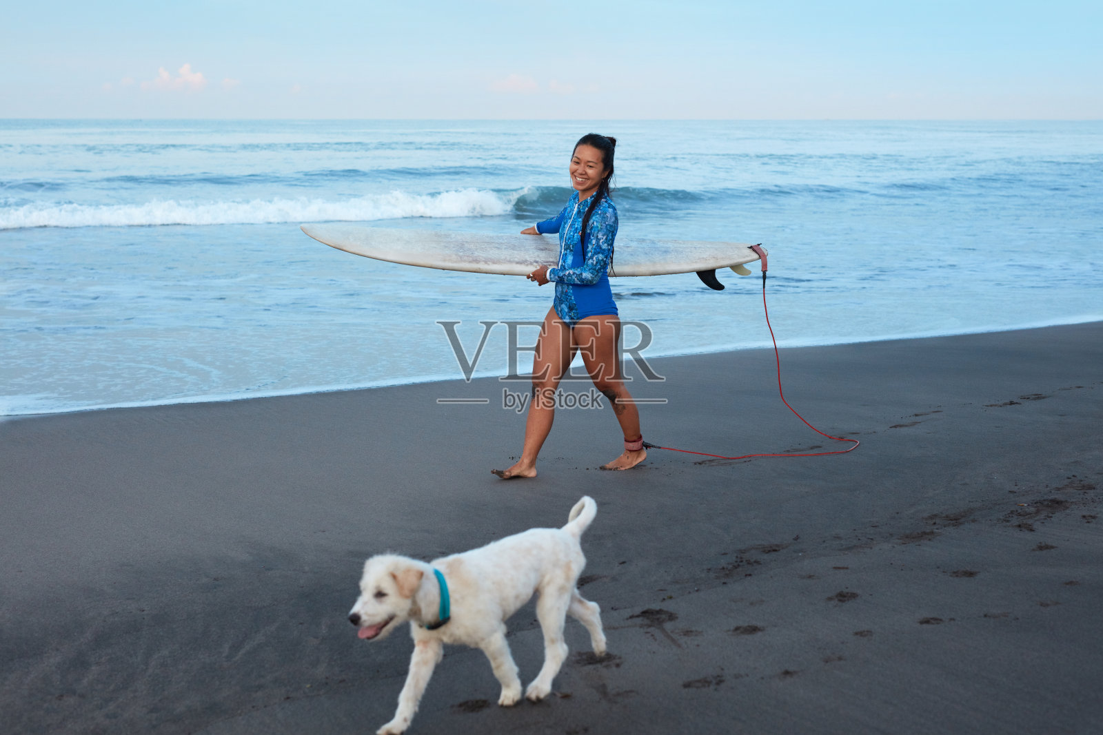 冲浪的女孩。沙滩上遛狗的美女。微笑的黑发穿着蓝色潜水衣携带冲浪板。水上运动作为爱好。照片摄影图片
