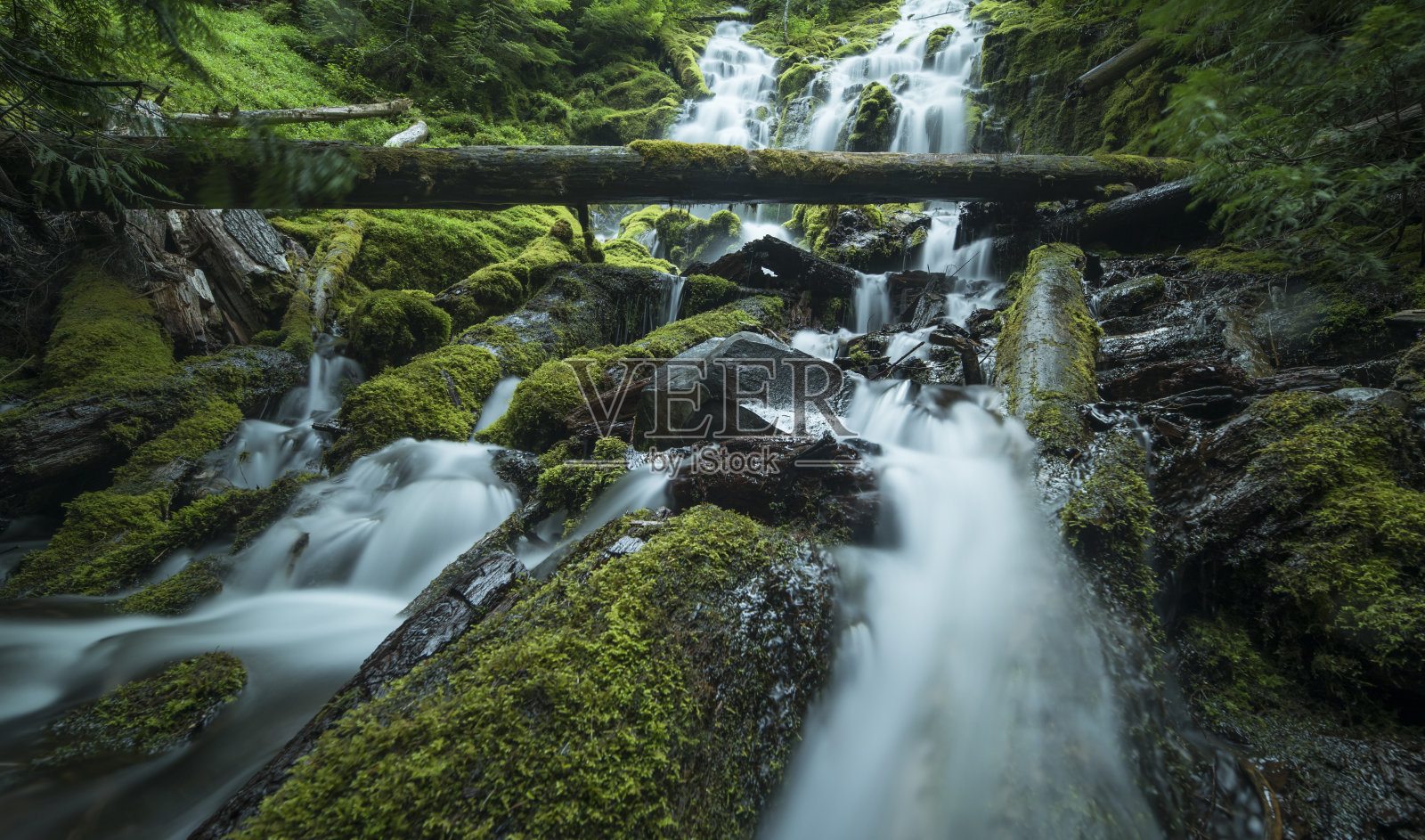 俄勒冈州的代理瀑布，森林里有长满苔藓的岩石和原木照片摄影图片