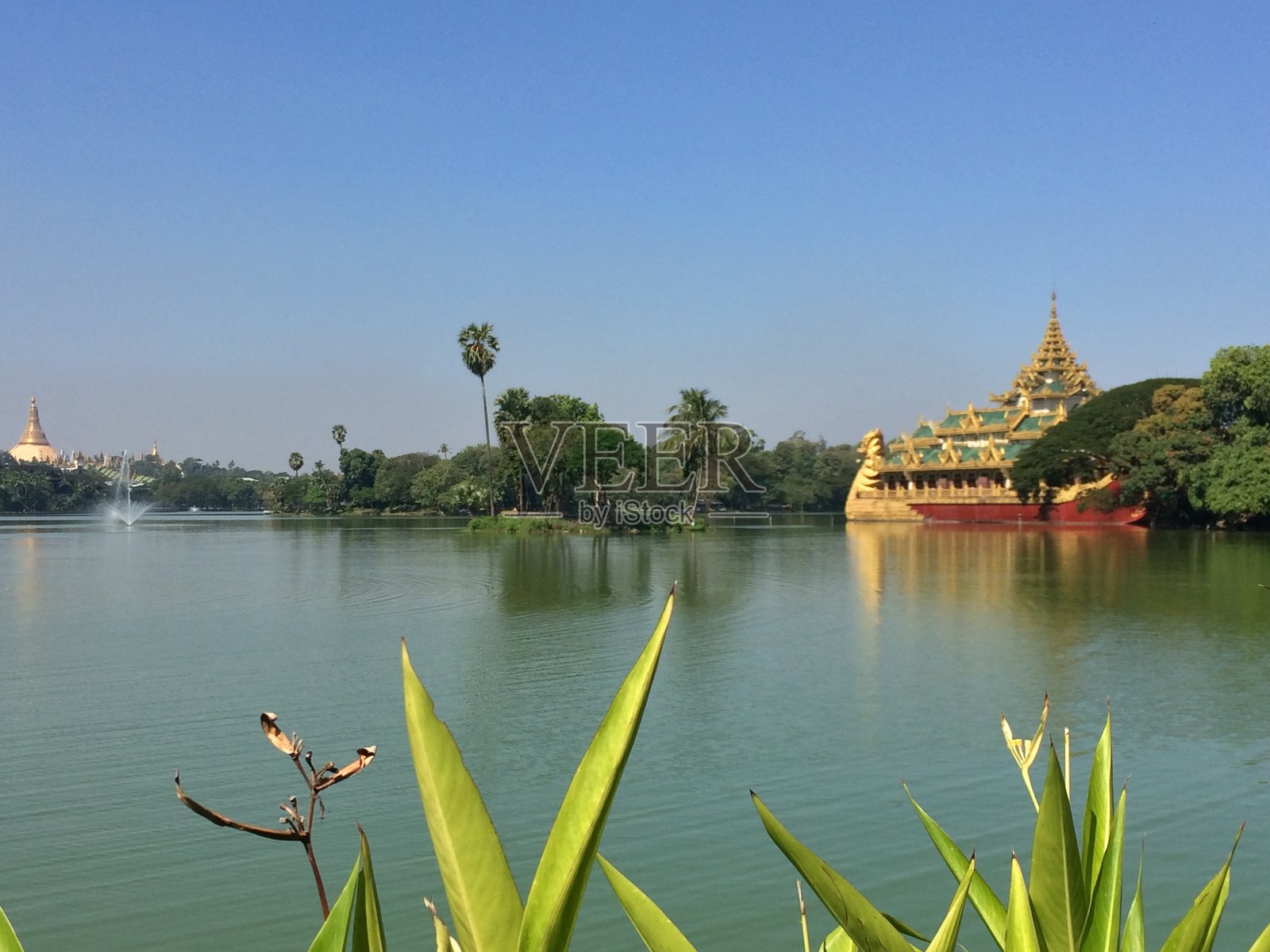 黄金宫照片摄影图片