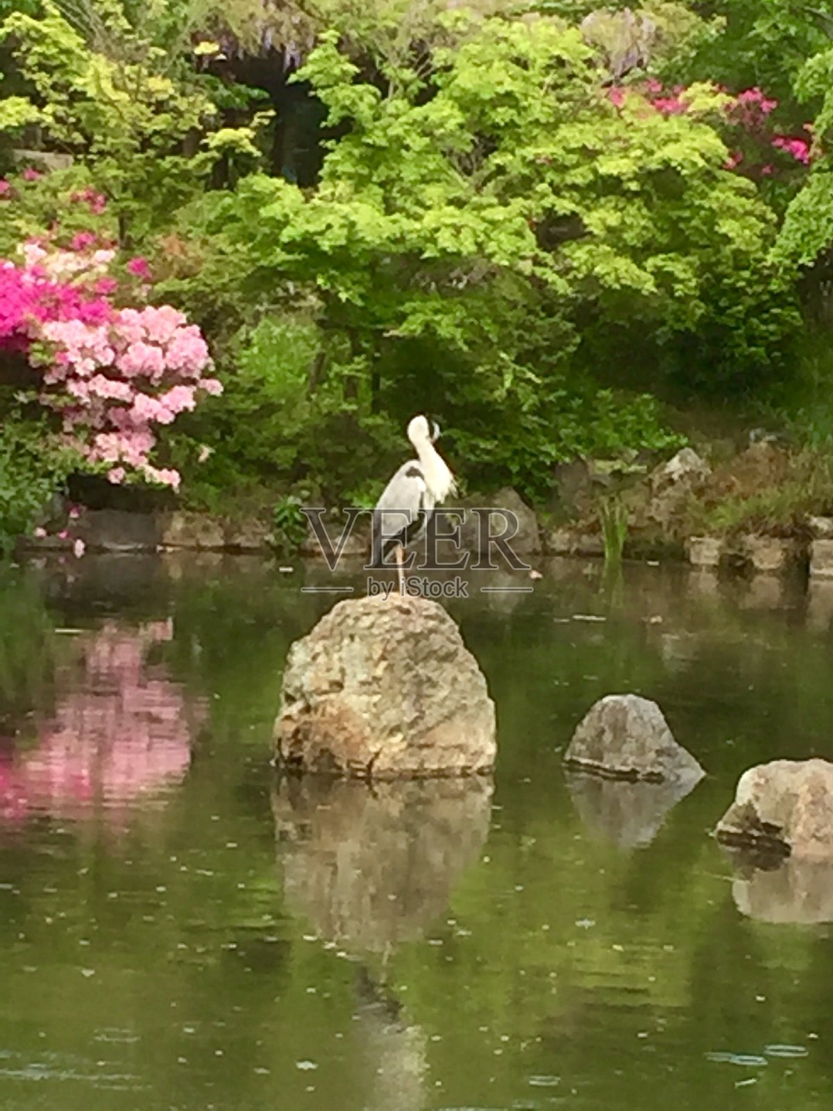京都景观照片摄影图片