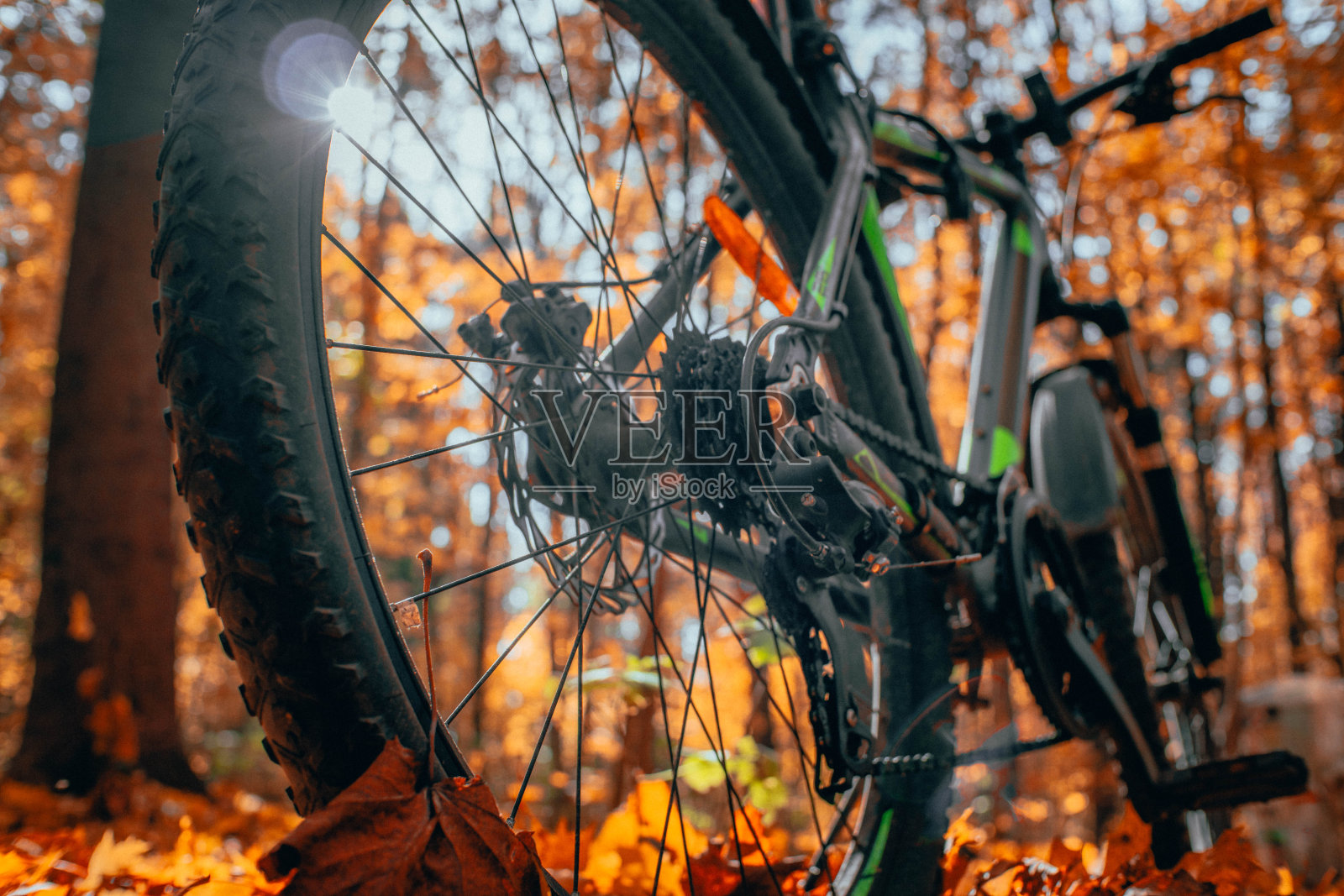 山地车站在一个美丽的秋天森林特写，着色照片照片摄影图片