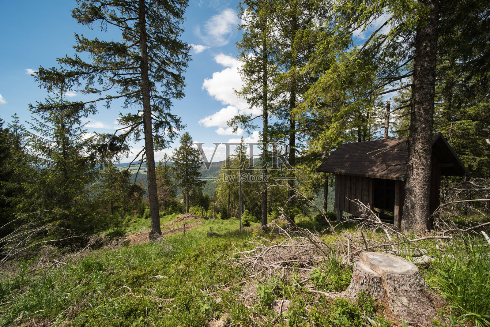 林中小屋照片摄影图片