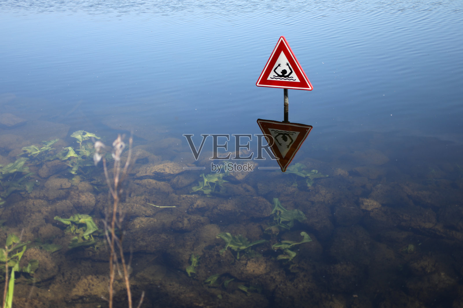 池塘里有禁止游泳的标志照片摄影图片