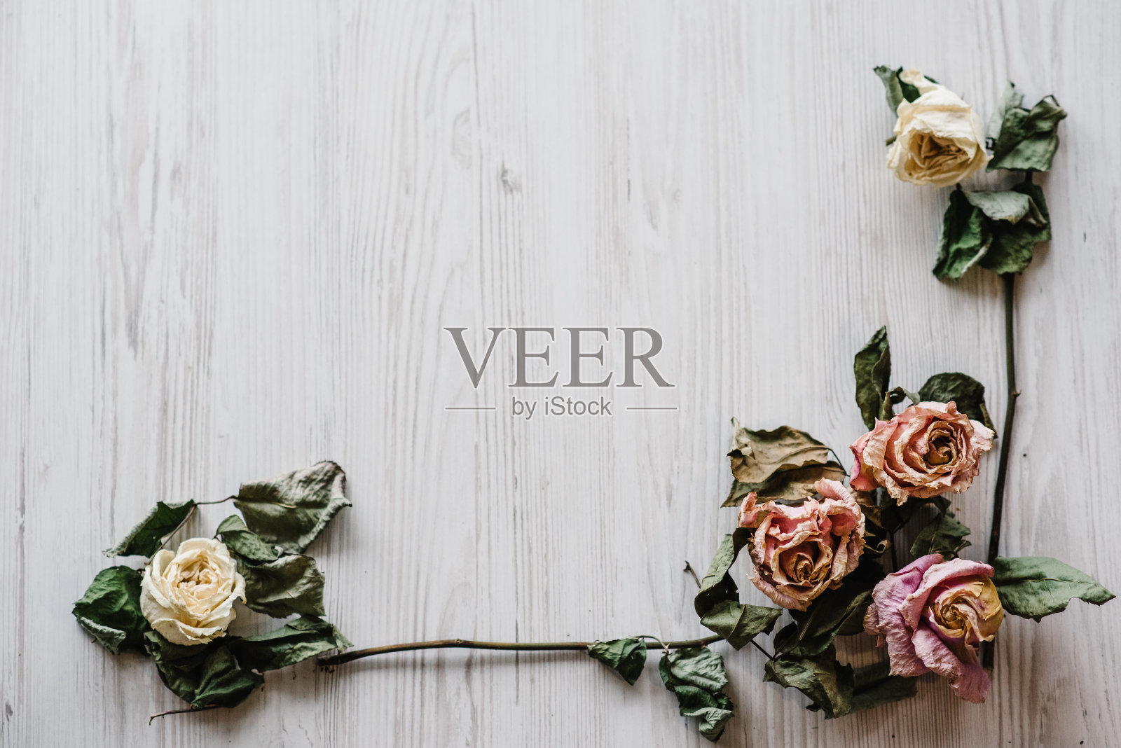 花组成。框架由干玫瑰花在白色的木制背景。平铺，俯视图，拷贝空间。放置文本和设计。照片摄影图片