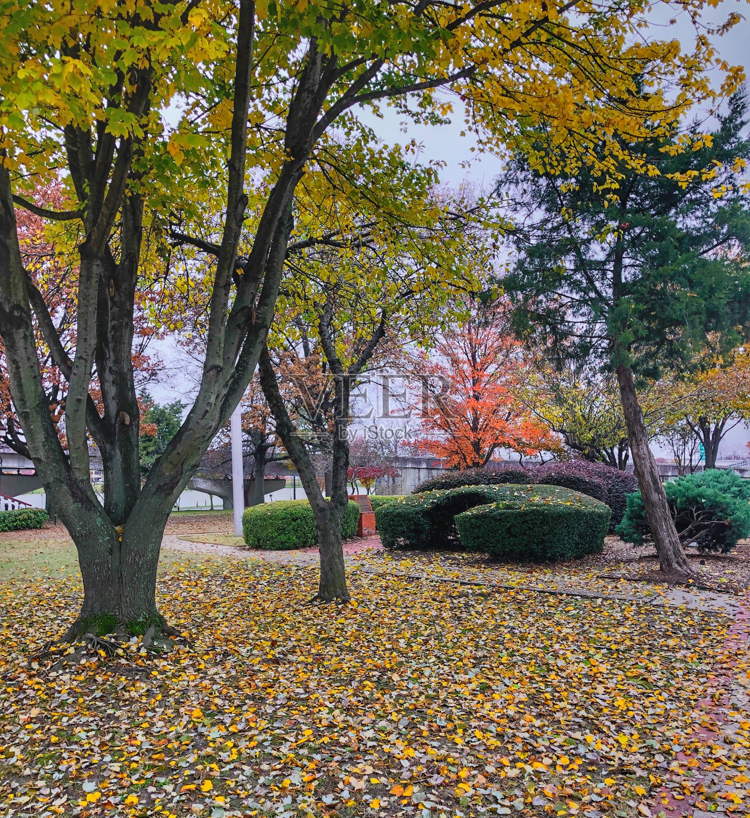 南方的秋天照片摄影图片