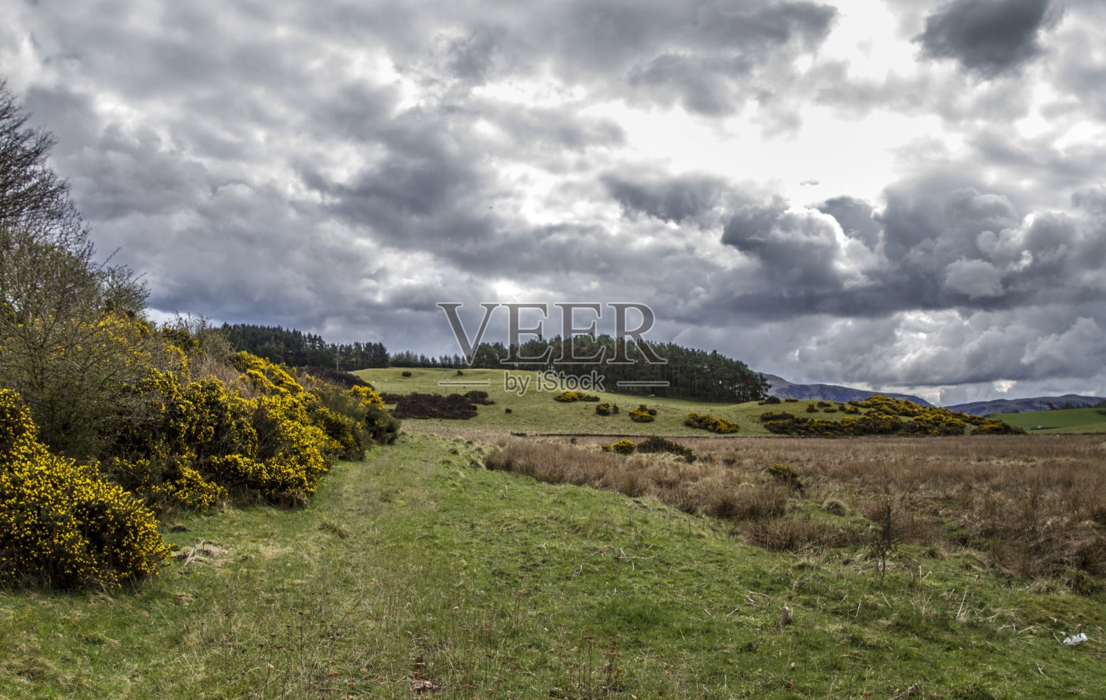 法夫草原，苏格兰。照片摄影图片