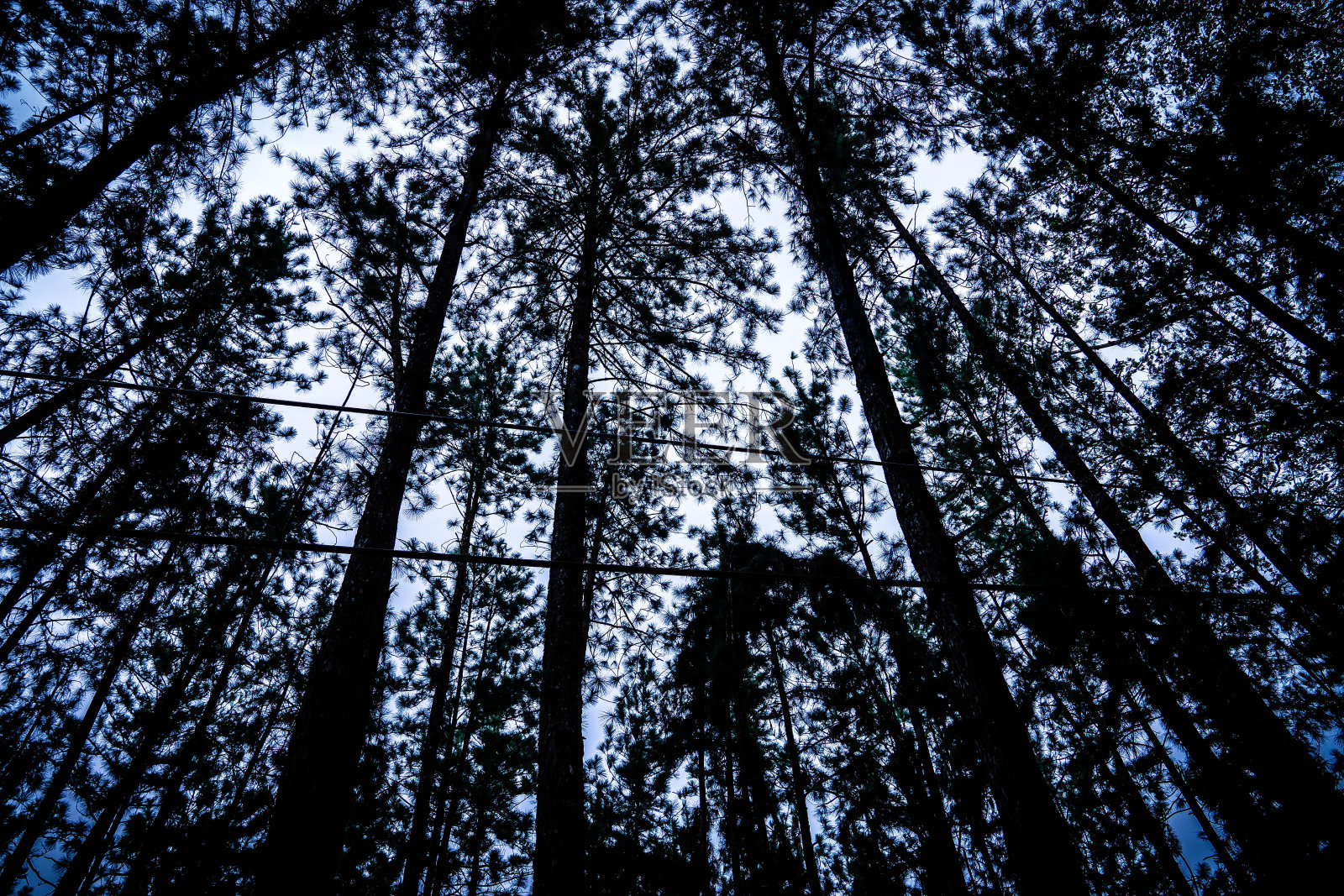 斯里兰卡的自然之地照片摄影图片