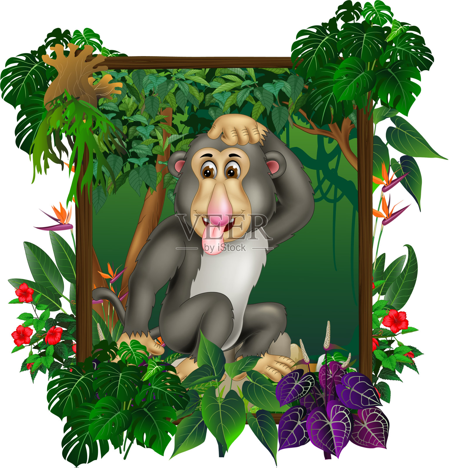 森林里的灰色猴子与热带常春藤植物设计元素图片