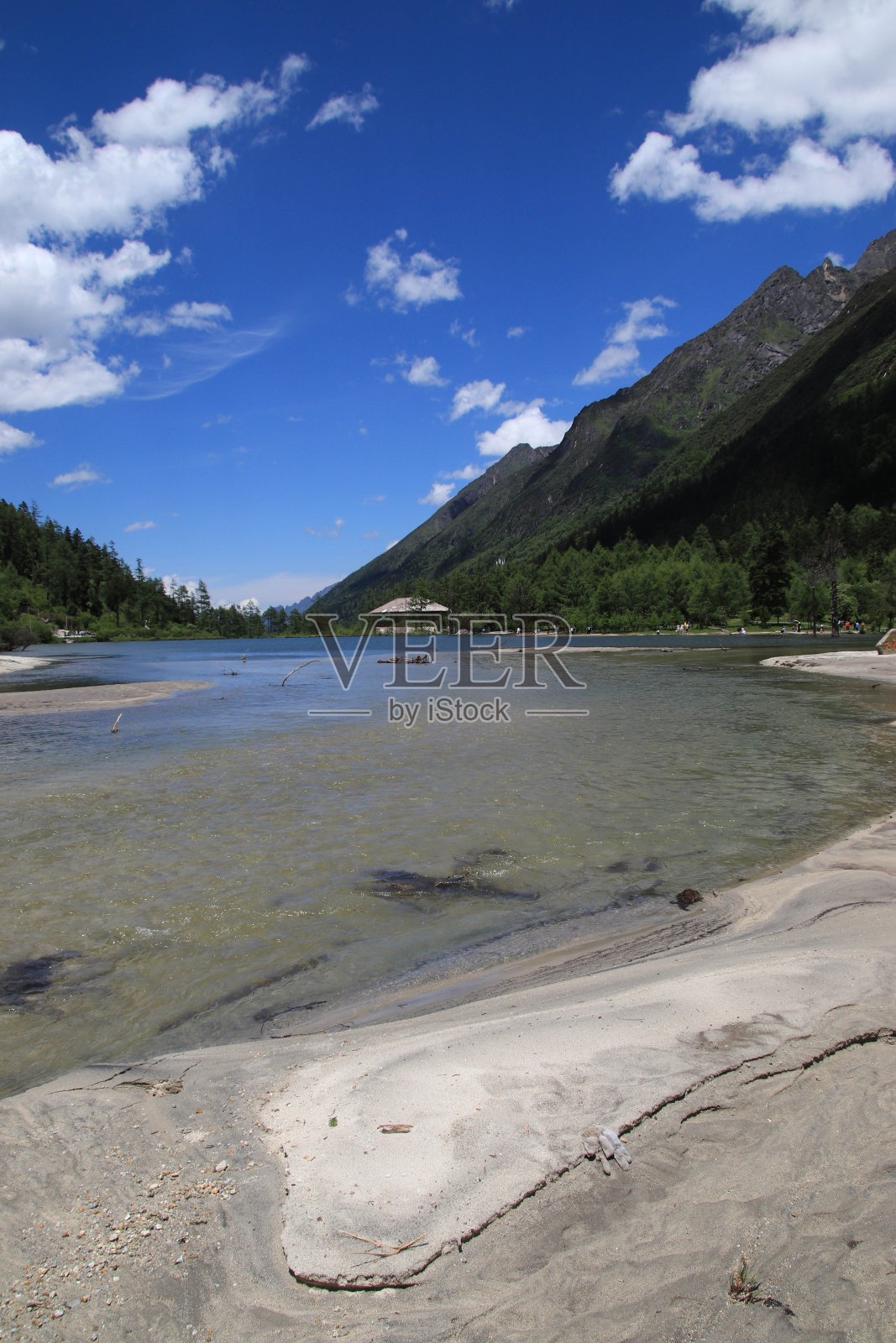 在夏天的雪山下山谷照片摄影图片