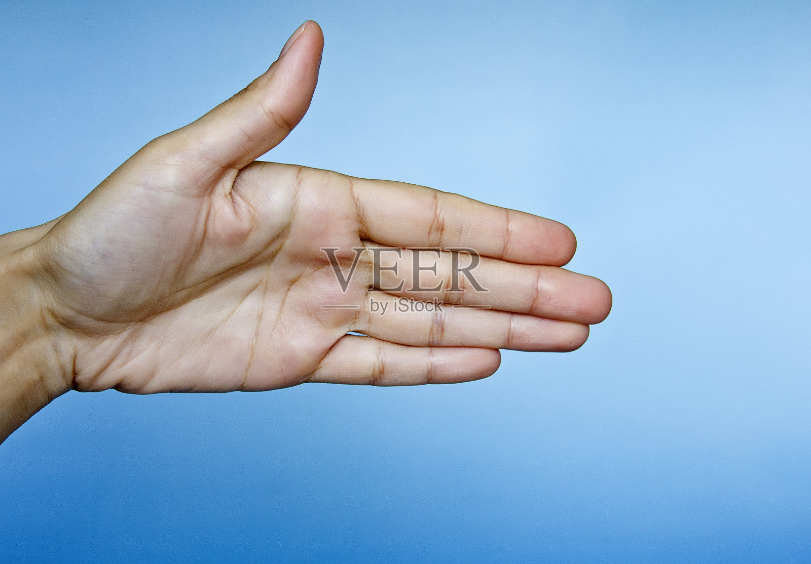 在蓝色背景下女性手孤立的特写照片摄影图片