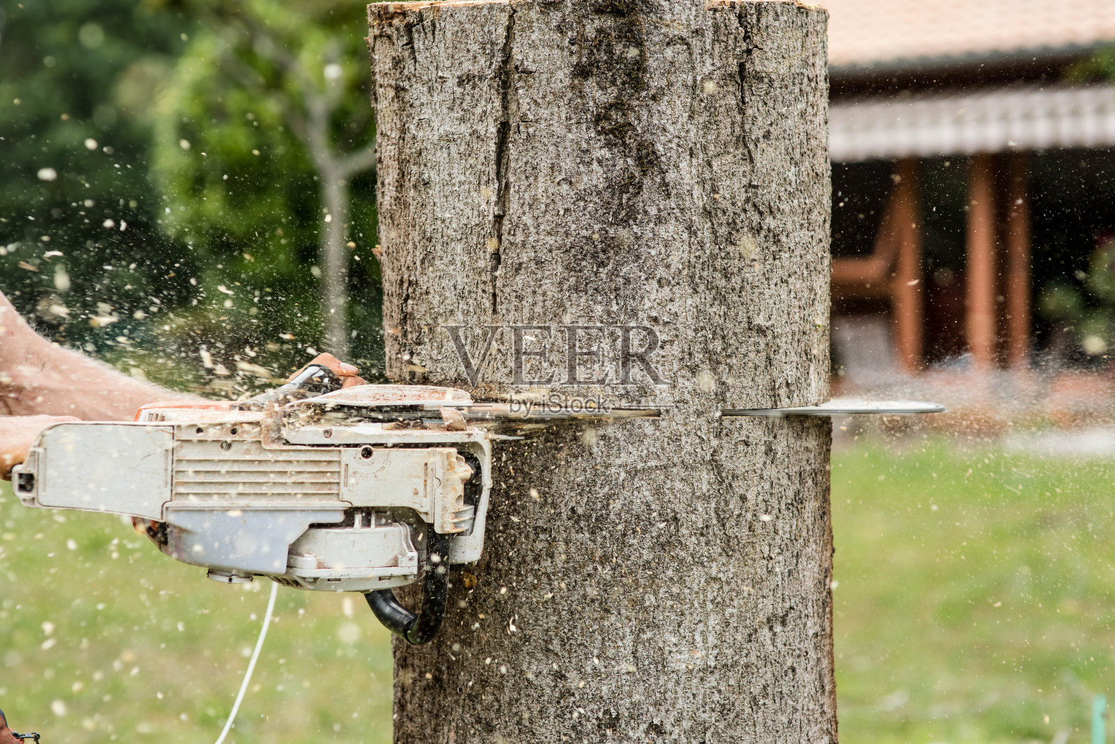用链锯砍树的专业修枝工照片摄影图片