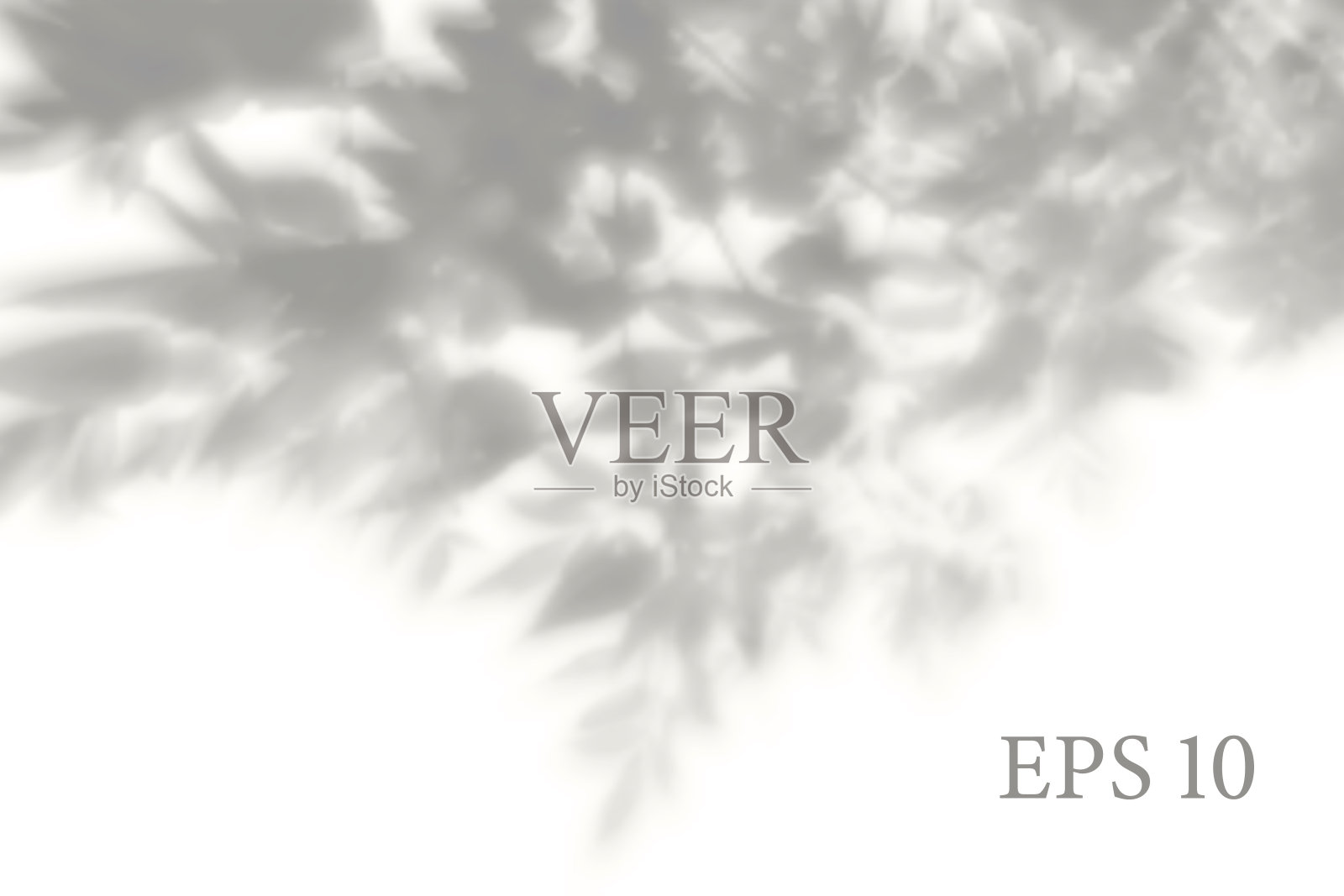 透明的天然植物阴影。光效果叠加。编织网。展示您的设计卡，海报，故事照片逼真的插图插画图片素材