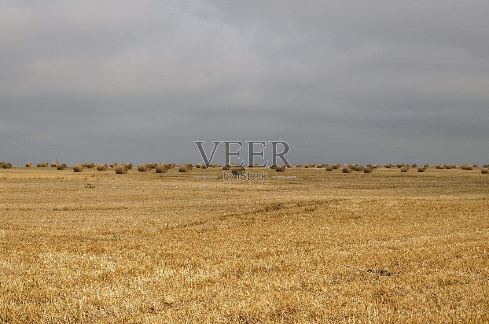 保加利亚北部田野里的稻草捆照片摄影图片