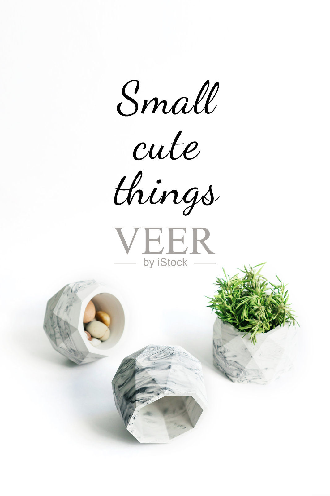 小的花盆。照片摄影图片