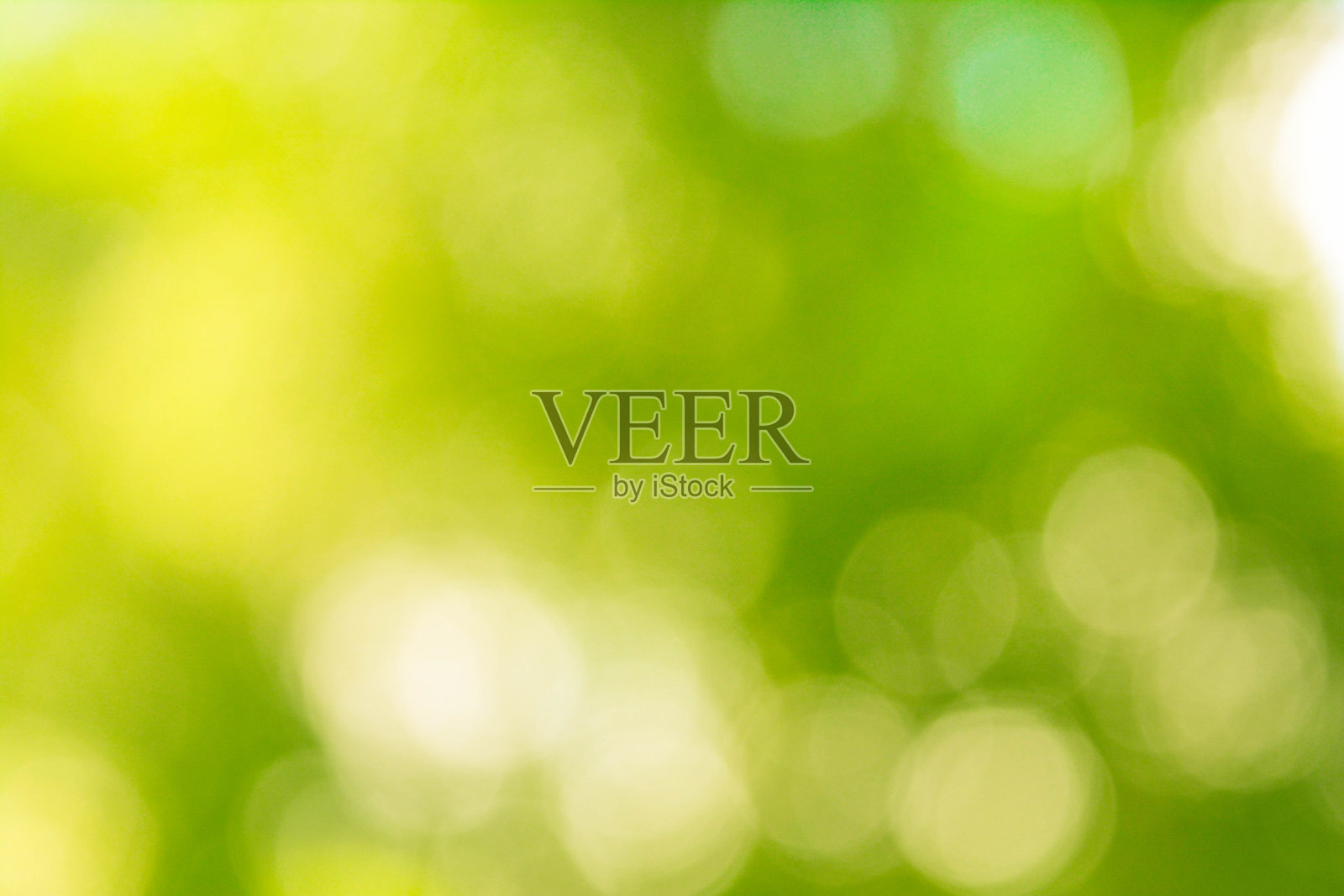 自然柔和的绿色和黄色抽象散景背景照片摄影图片