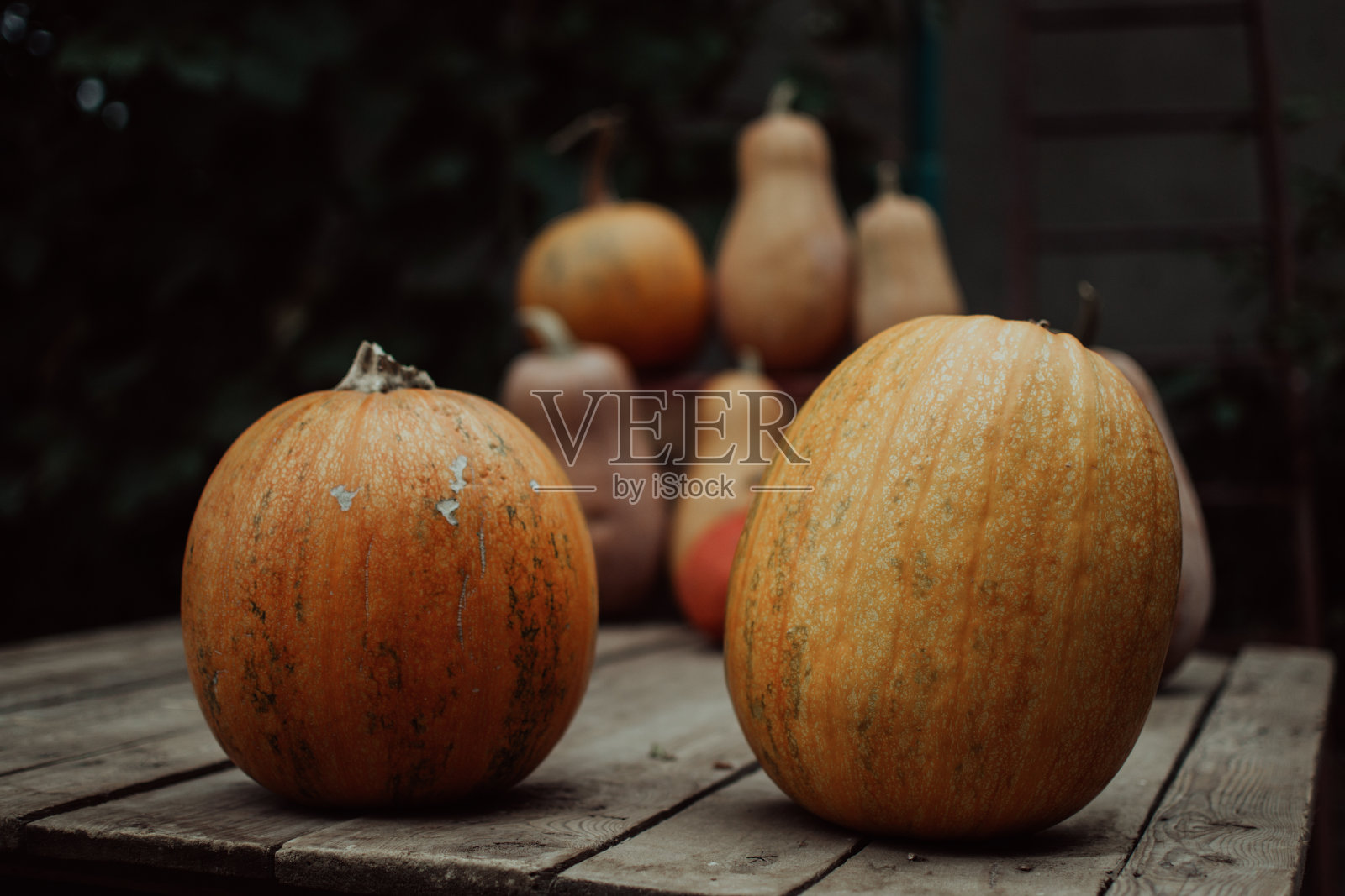 户外农贸市场的南瓜。橙色的万圣节南瓜木制背景，节日装饰。万圣节的心情。照片摄影图片
