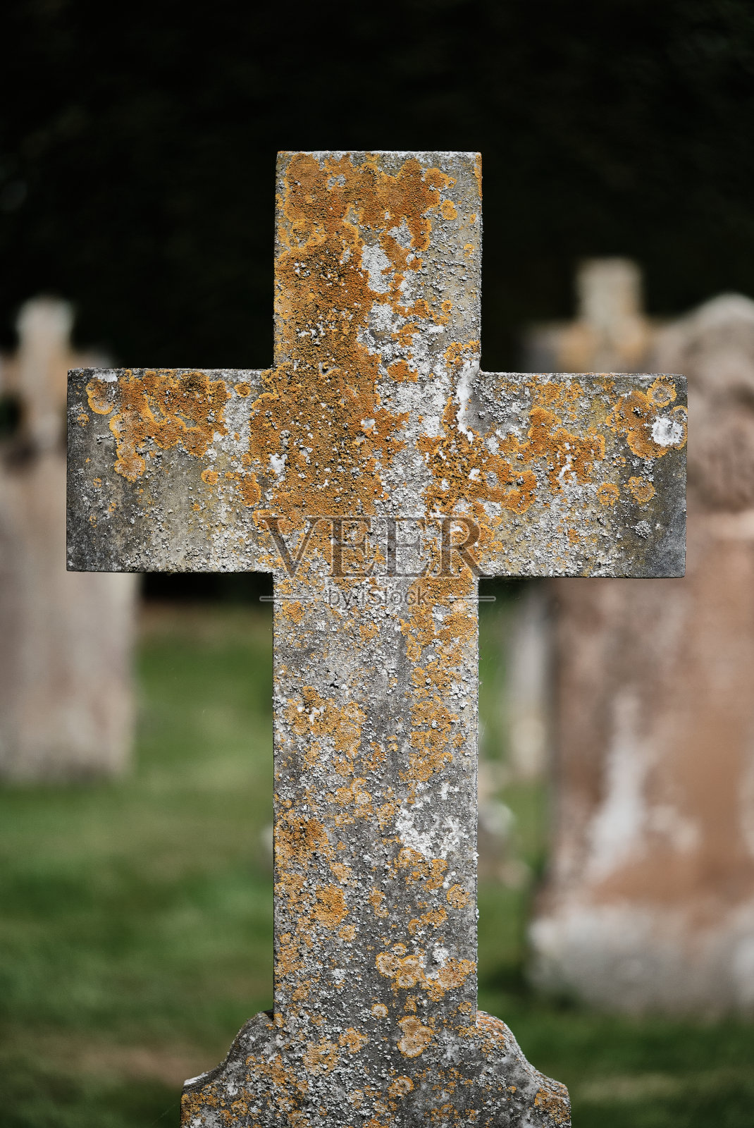 墓地里的十字墓碑照片摄影图片