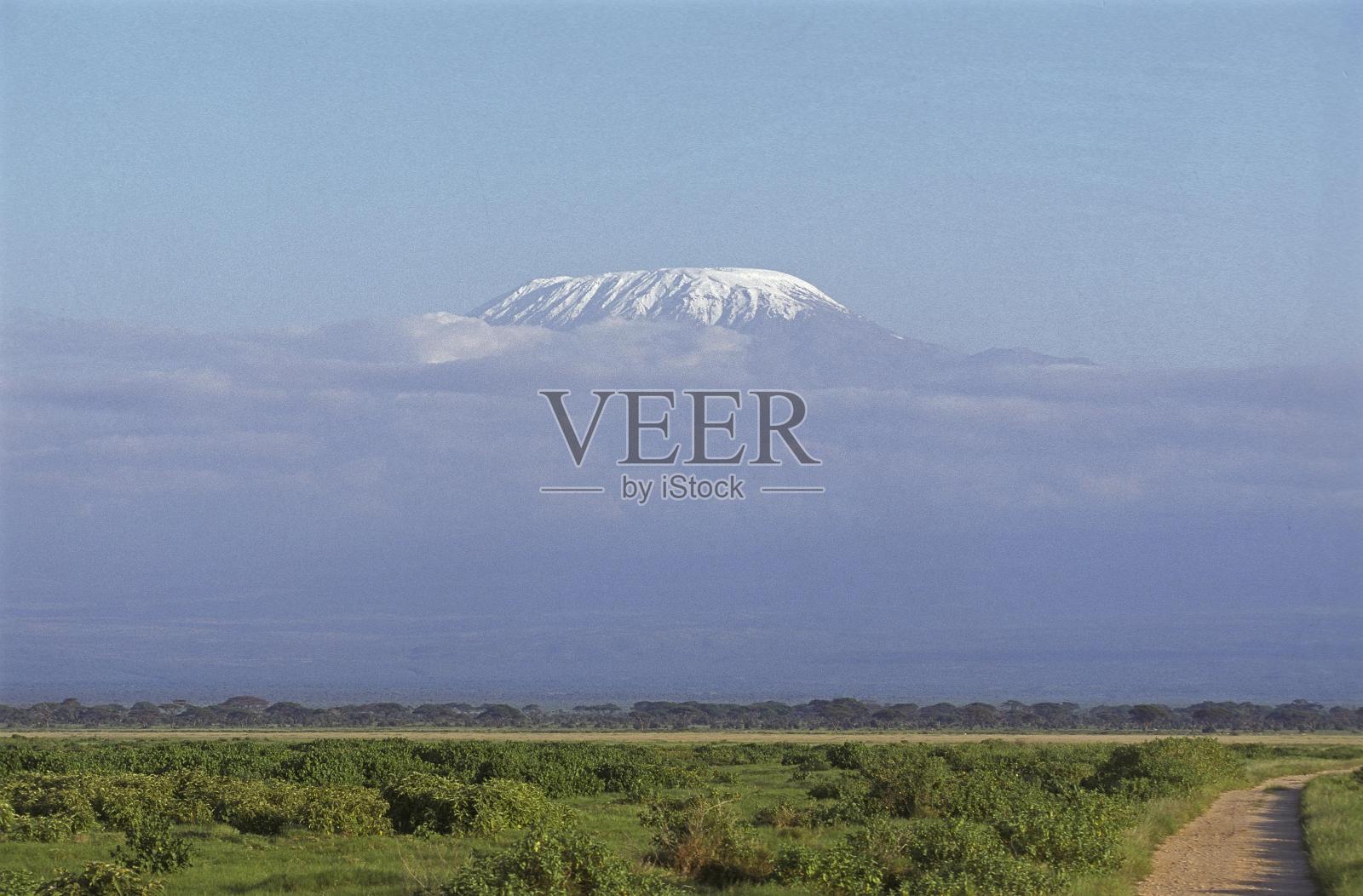 坦桑尼亚乞力马扎罗山大草原照片摄影图片