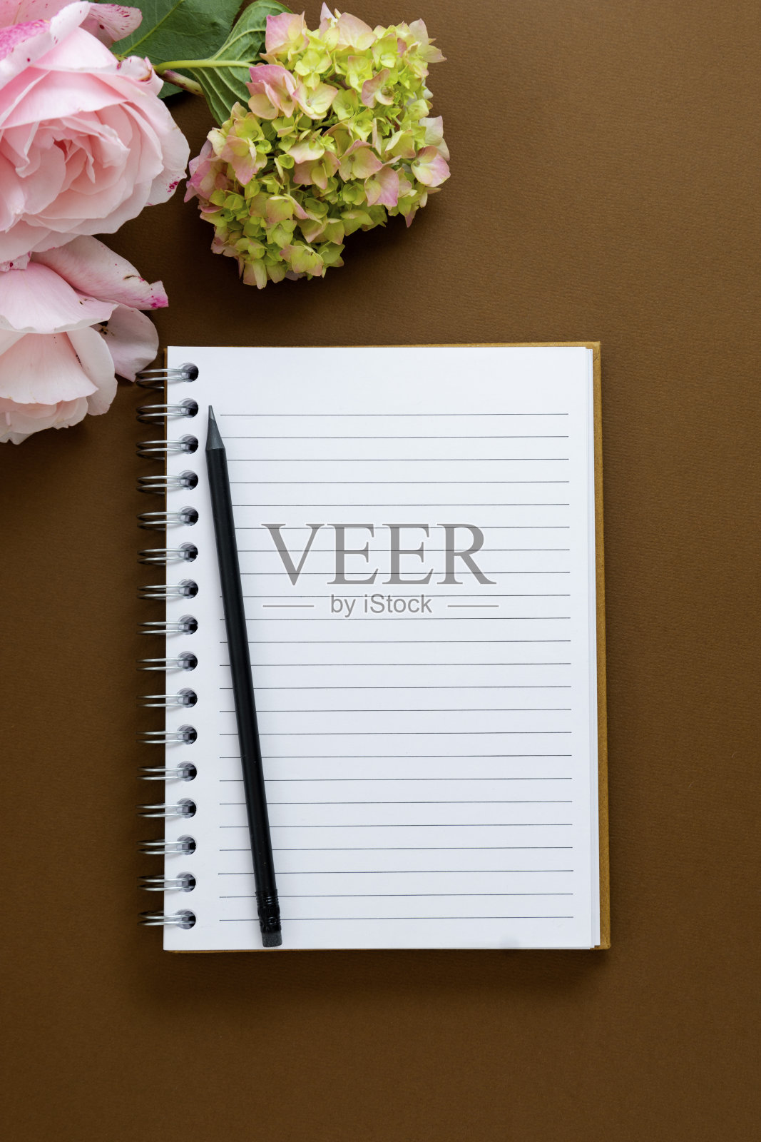 美女平躺着模拟起来。打开有粉红色花的笔记本。棕色的背景。平的。照片摄影图片