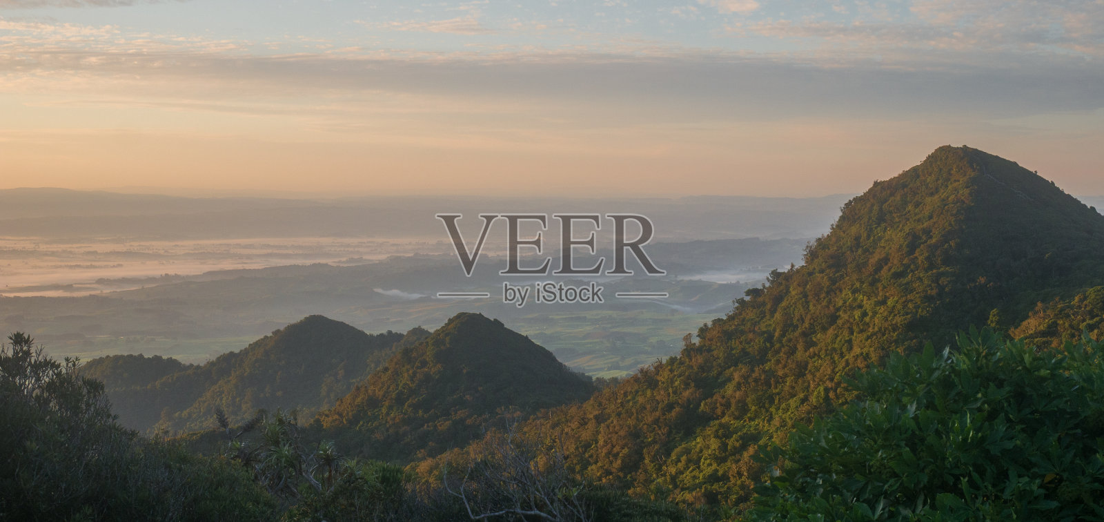 丛林日出拍摄照片摄影图片