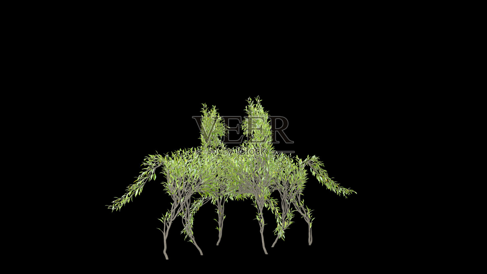 树长得像马。环保的概念。照片摄影图片