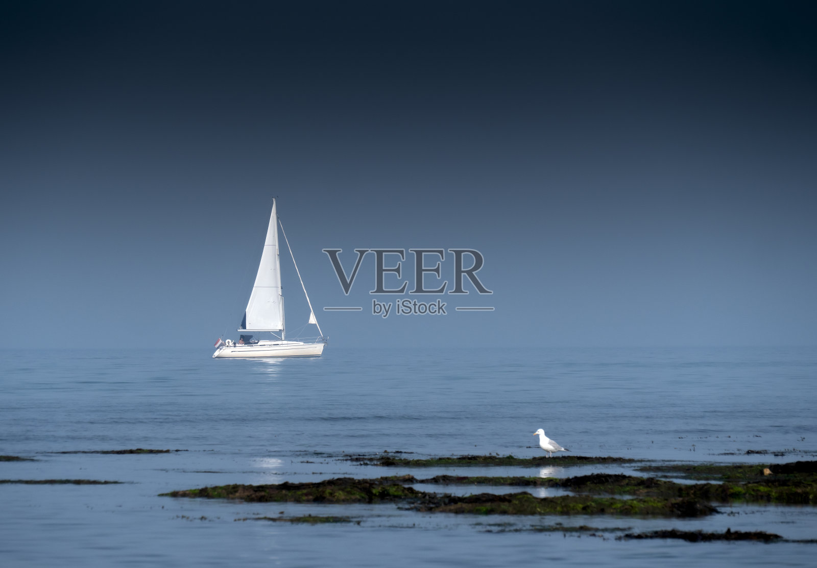 小船和海鸥照片摄影图片