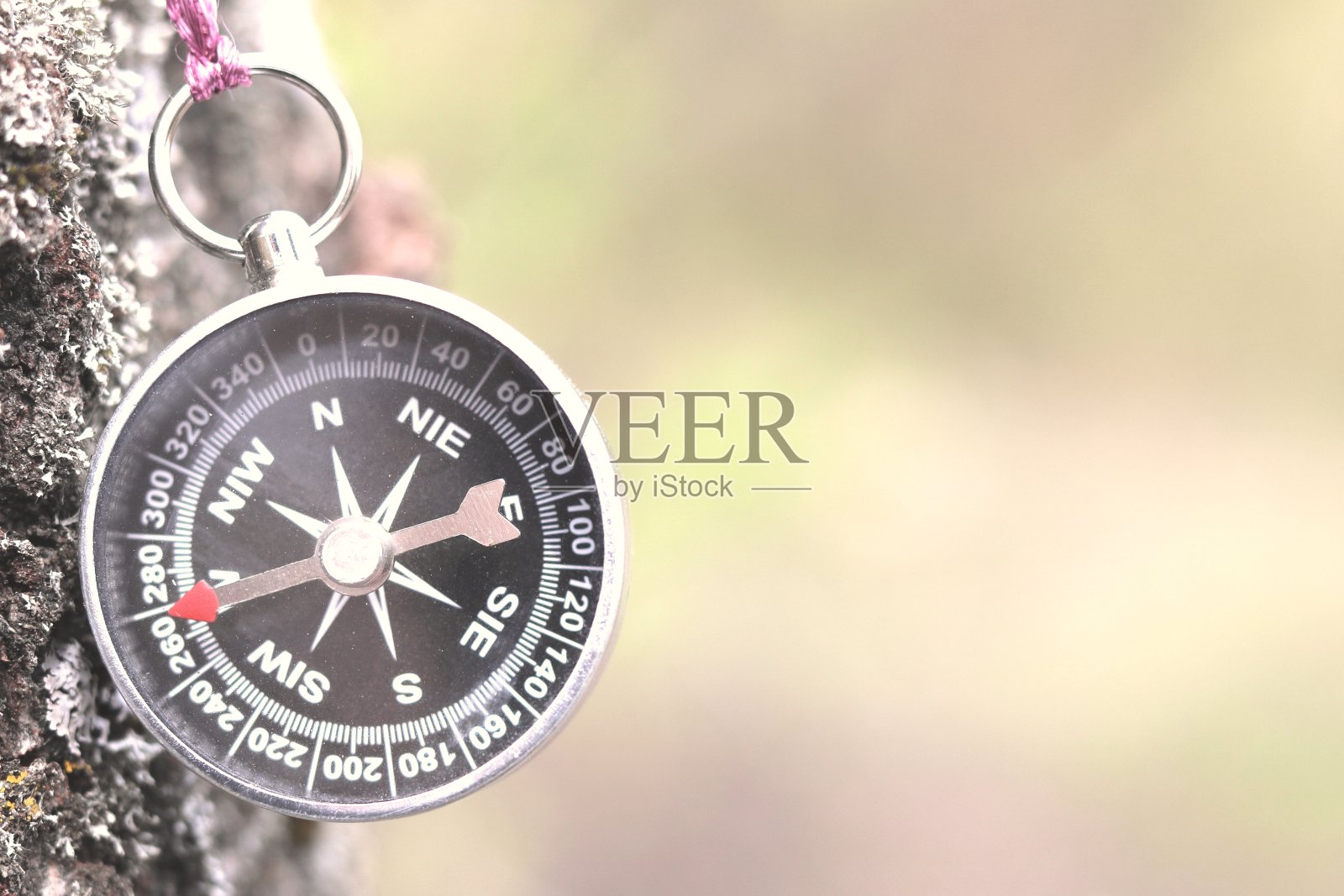 自然背景下的经典指南针照片摄影图片
