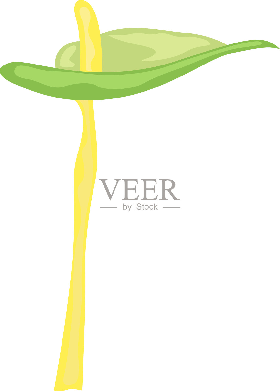 孤立的水彩花插画图片素材