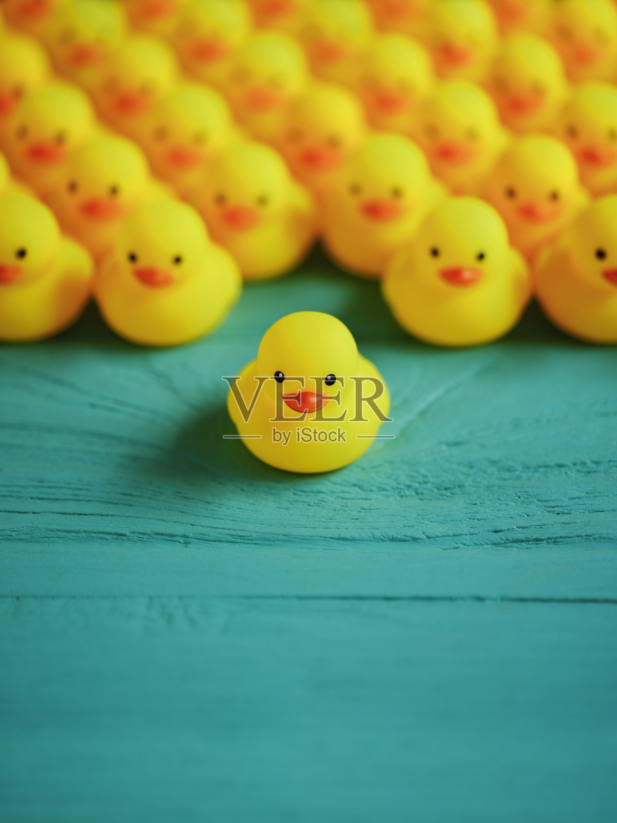 一大群黄色橡皮鸭，前面有一只已经离开人群的橡皮鸭，从人群中脱颖而出。场景设置在一个风化的，绿松石色的木制面板背景概念上代表水。照片摄影图片