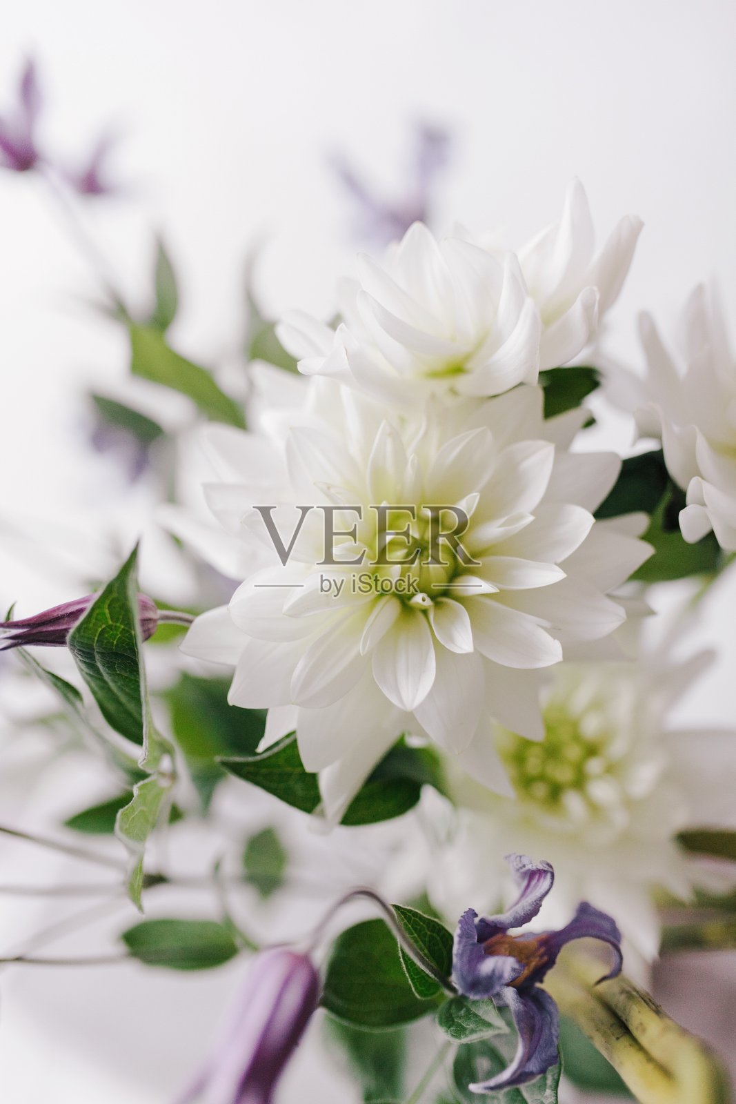 花与绿的组合照片摄影图片