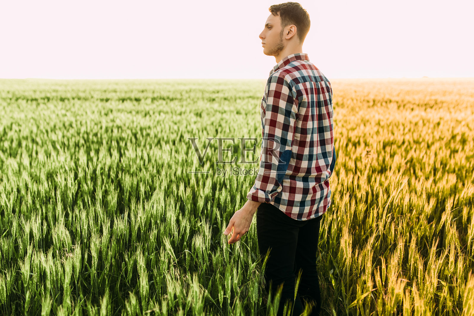 一个农民站在麦田里，背景是阳光明媚的日落，小麦开花照片摄影图片