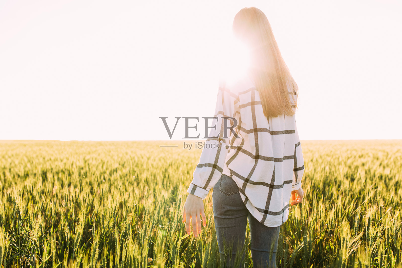 一个女人在麦田里，背对着夕阳照片摄影图片