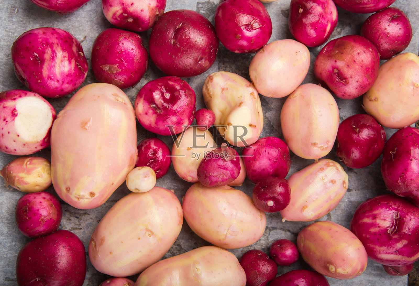 生土豆洗净颜色混合，俯视图。作物的形象。多颜色的食物照片摄影图片