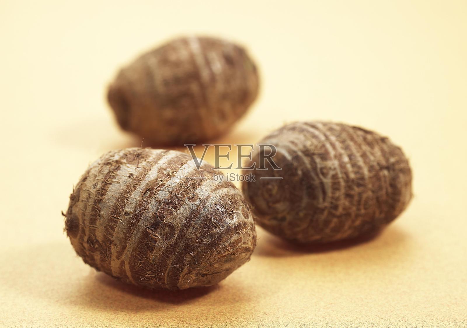 香芋，香芋属植物块茎照片摄影图片