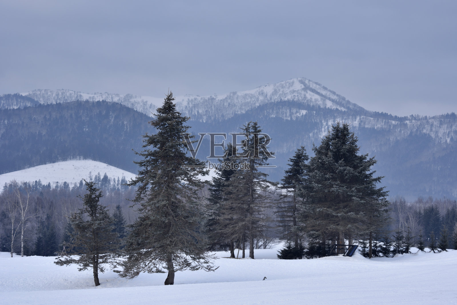 日本北海道的冬天照片摄影图片
