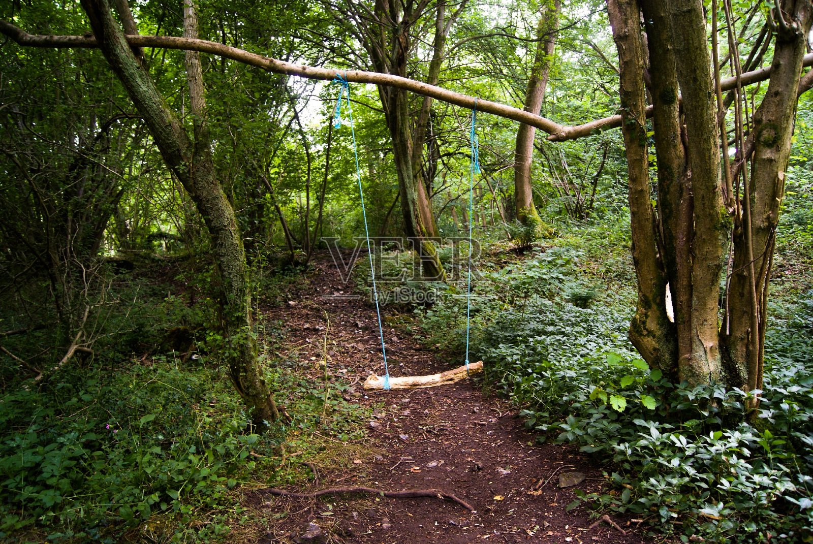 摇摆不定的照片摄影图片