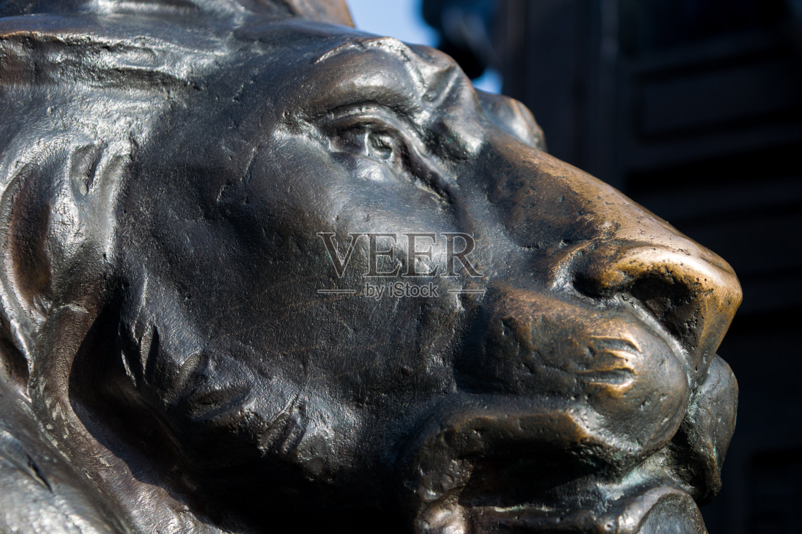 青铜狮子雕塑照片摄影图片