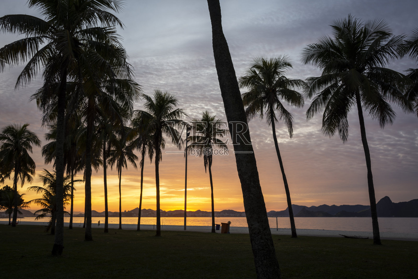 美丽的景色，黄色的太阳升起在城市的海滩和棕榈树照片摄影图片