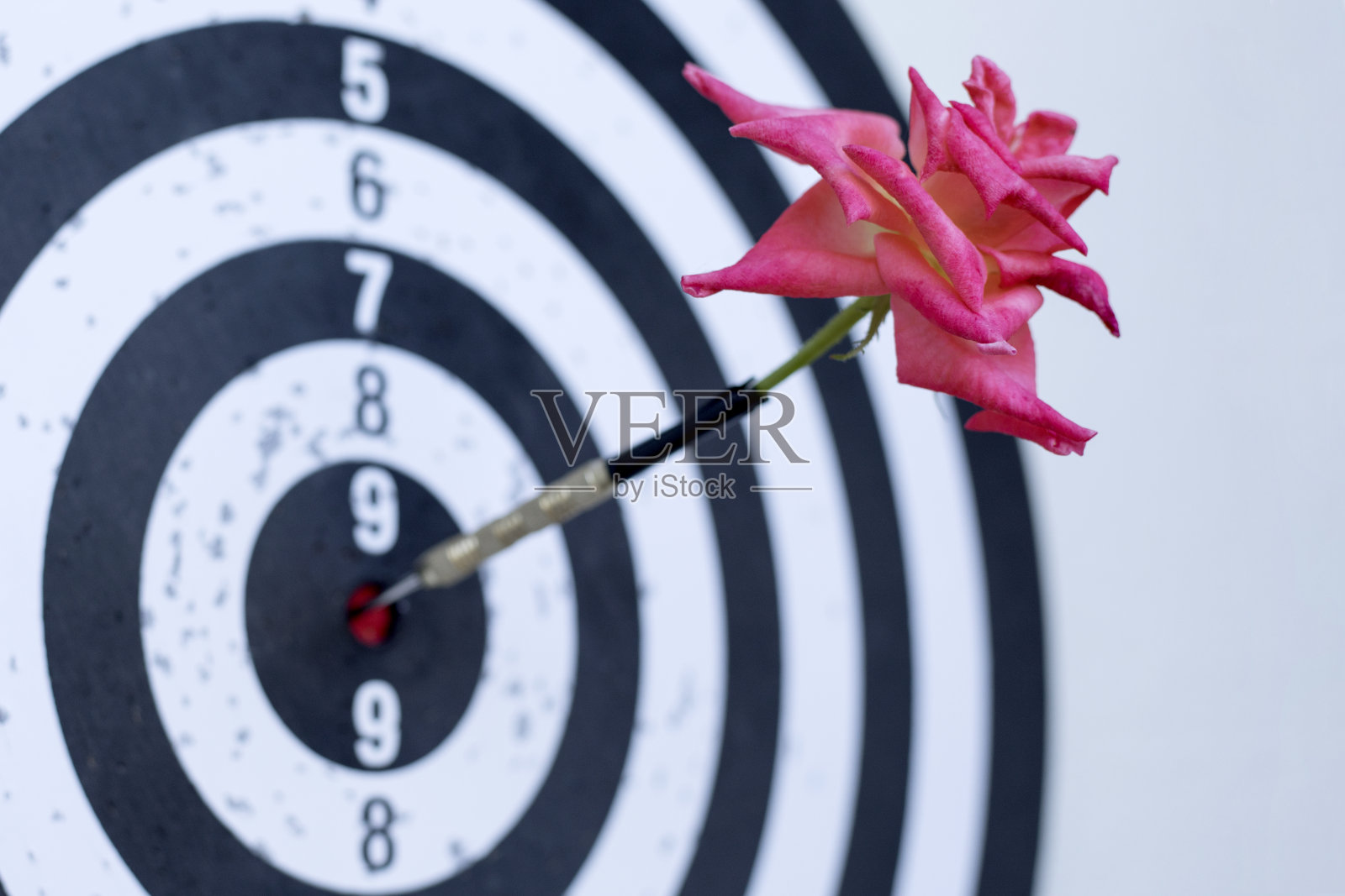 目标飞镖概念照片摄影图片