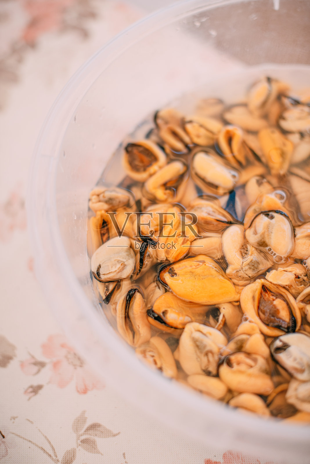 俯视图清洁贻贝照片摄影图片