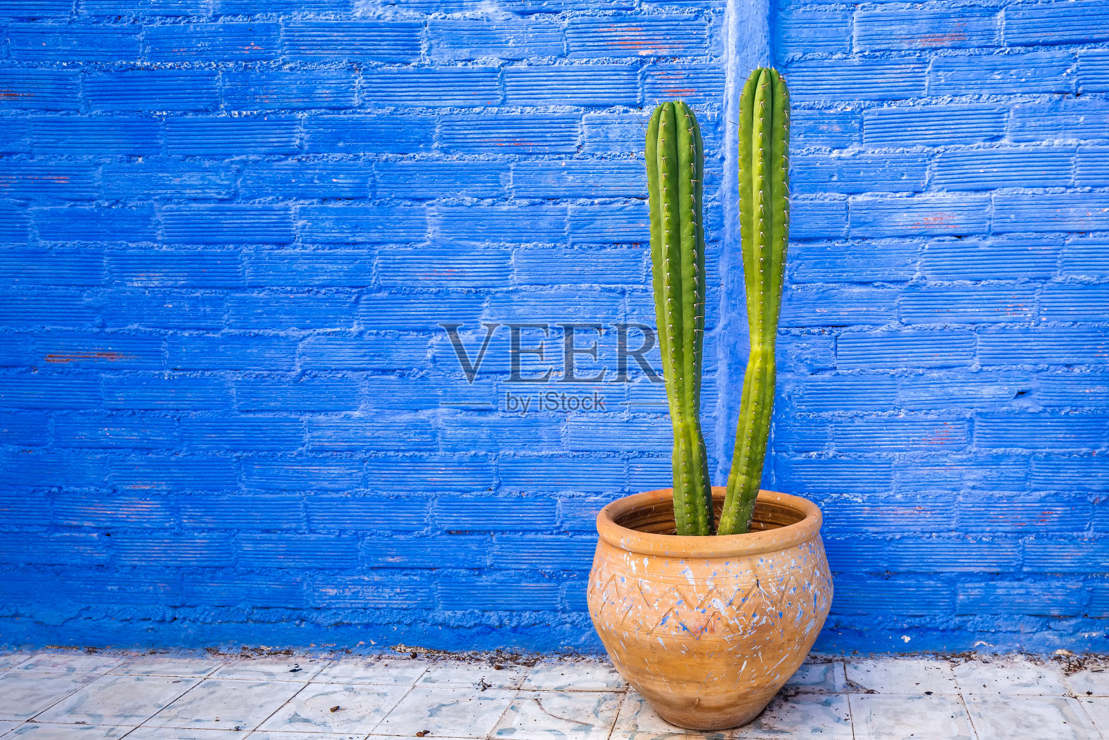 摩洛哥主要景点照片摄影图片