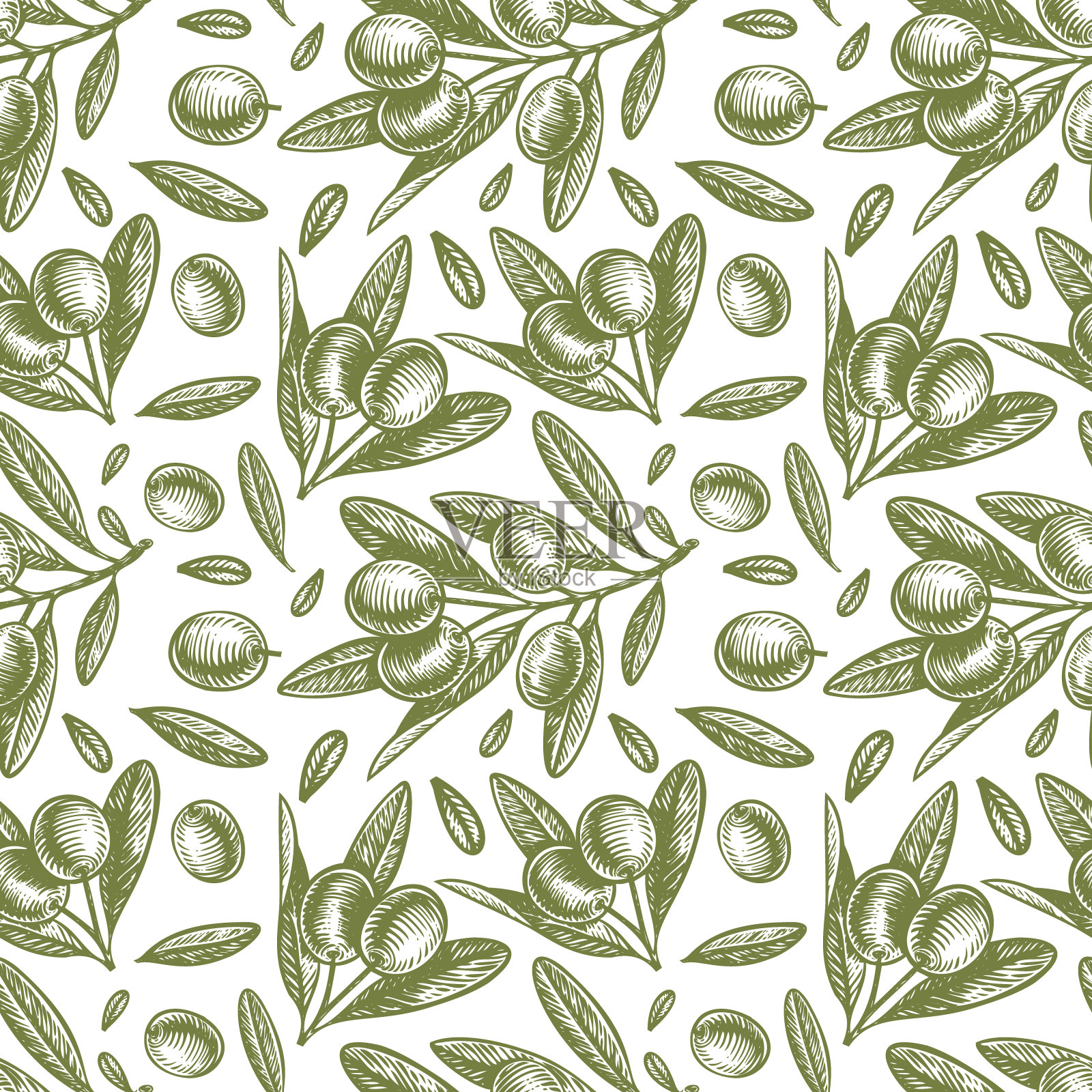 无缝矢量模式与墨水手绘橄榄树树枝孤立在白色。古董橄榄背景插画图片素材