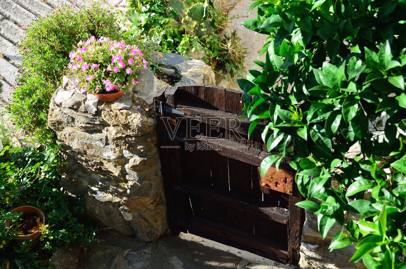 贝纳劳里亚的木门照片摄影图片