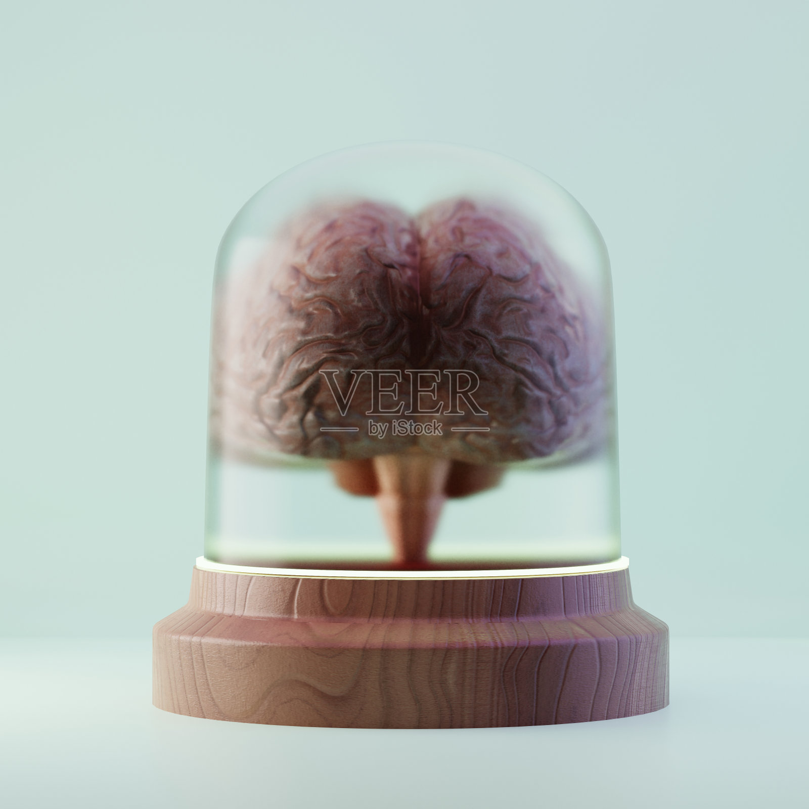 银行里的大脑，3d插图照片摄影图片