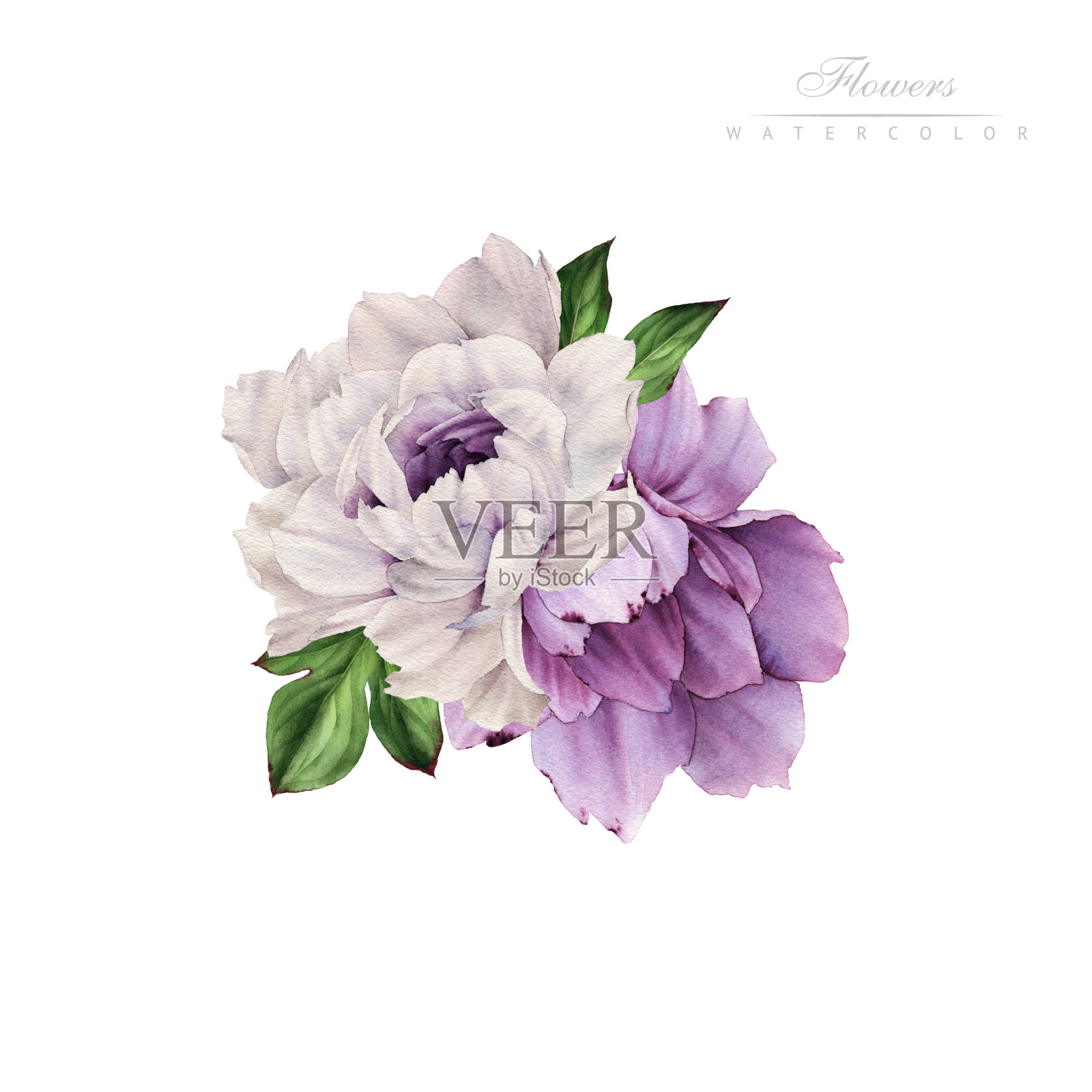 花束，可作为贺卡、婚礼请柬、生日等节假日和夏季背景插画图片素材