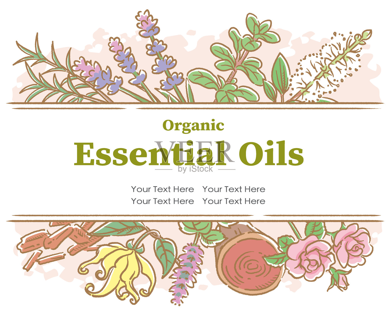 设计与流行的精油花和香草。矢量插图。插画图片素材