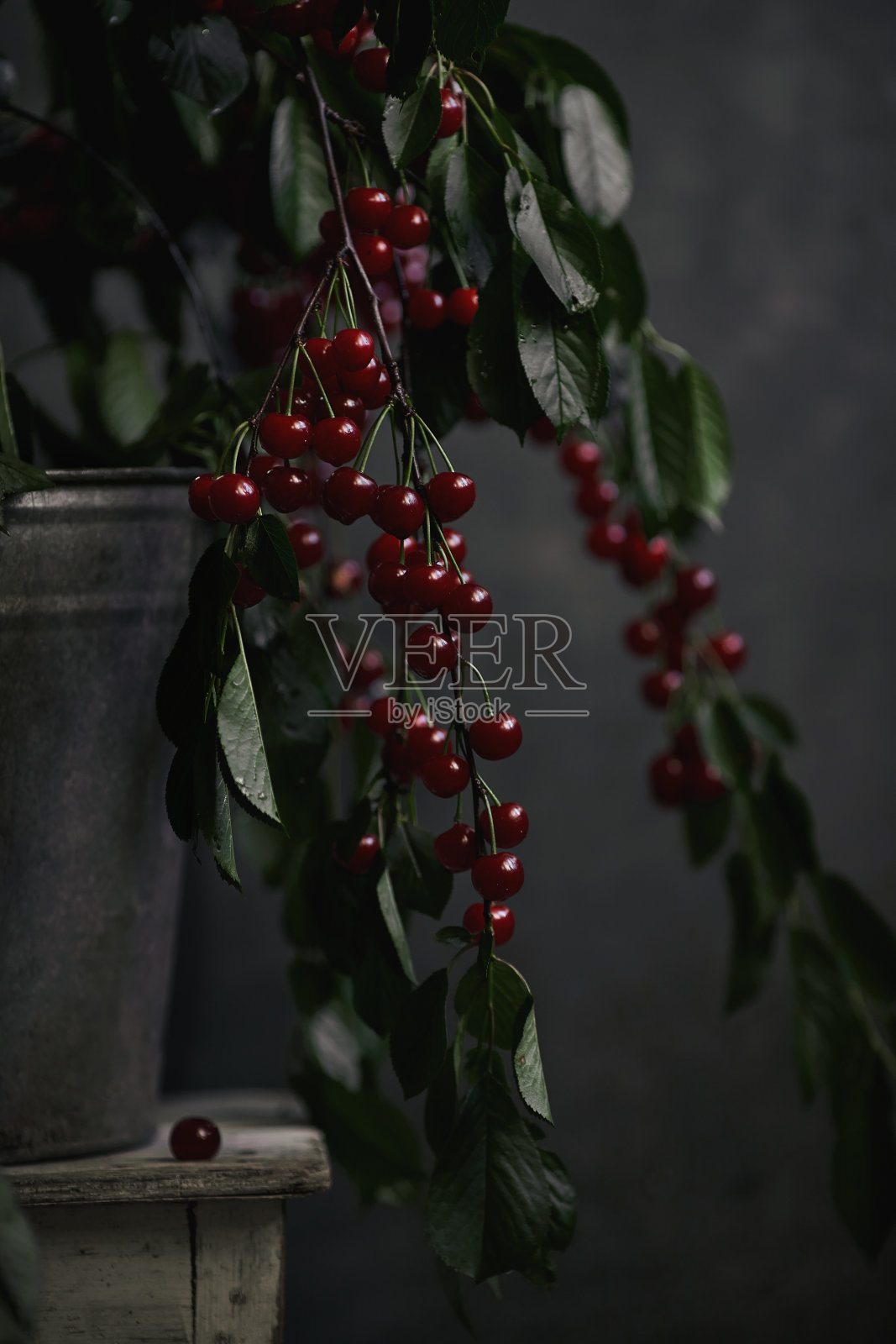 把樱桃放在铜杯里，喷在背景上。照片摄影图片