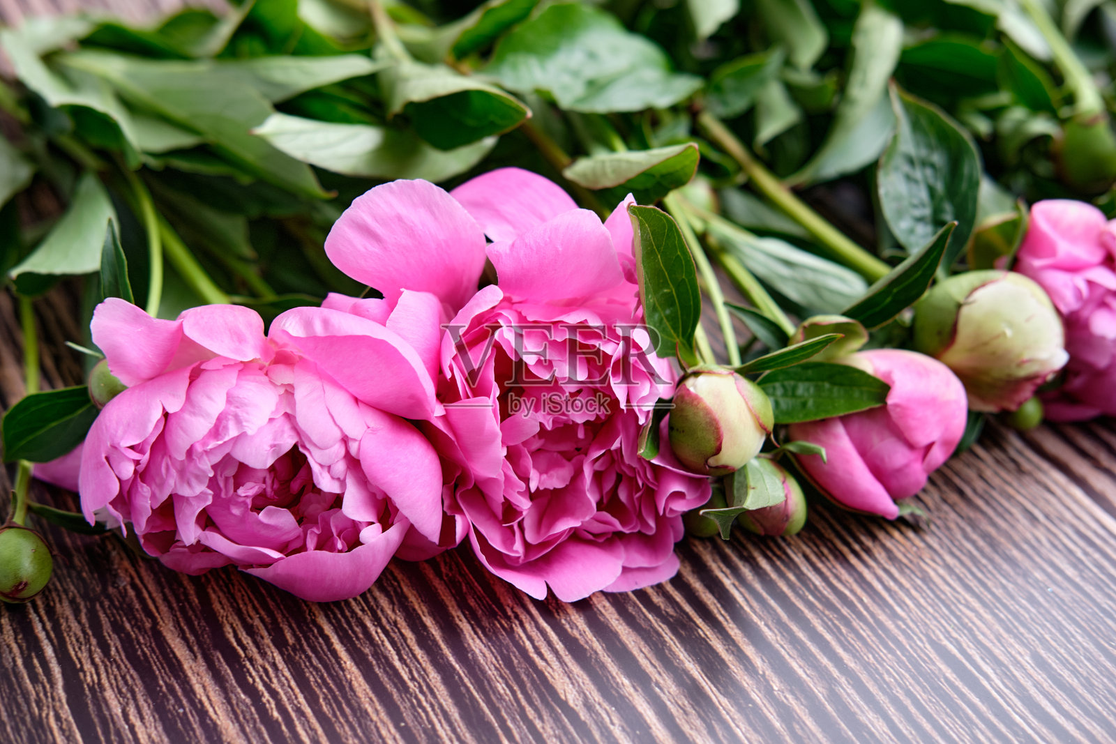 一束粉红色的牡丹在深色的木质背景花上照片摄影图片