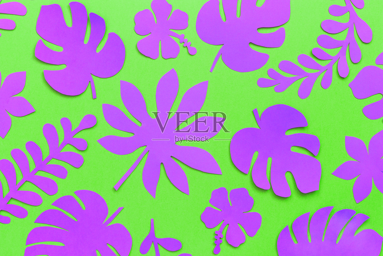 热带落叶模式。绿色背景上的紫色热带树叶。平铺，自上而下的构图，创造性的纸艺术照片摄影图片