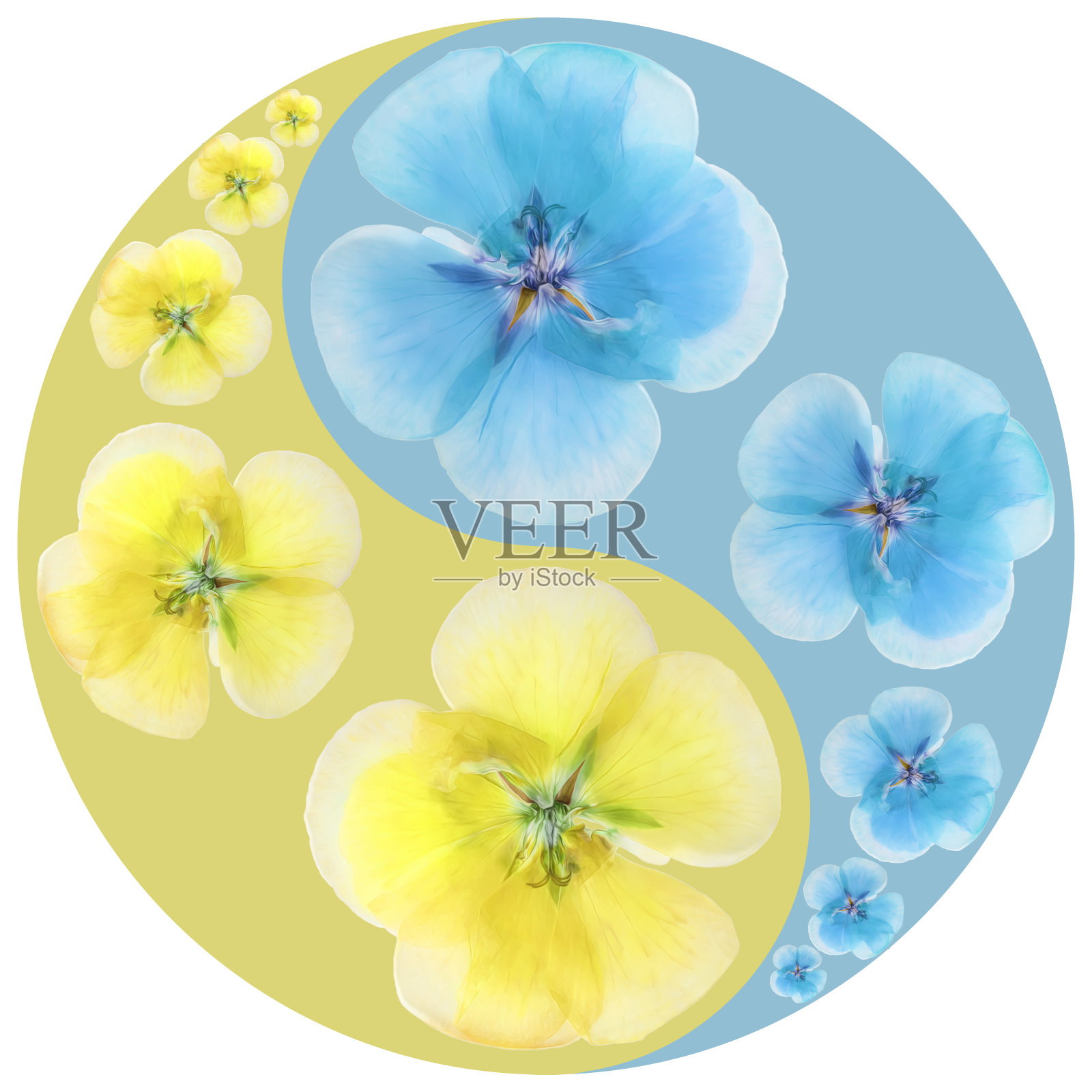 花象征阴阳。天竺葵。几何图案的阴阳符号，从植物的彩色背景在东方风格。阴阳符号取自花、花瓣。曼荼罗的花卉插图照片摄影图片